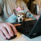 Estos 2 últimos meses han tenido una palabra en común: teletrabajo. Y muchas colaboraciones: Trabajo en Remoto, Workeamos Coworking, Planeta Canario...